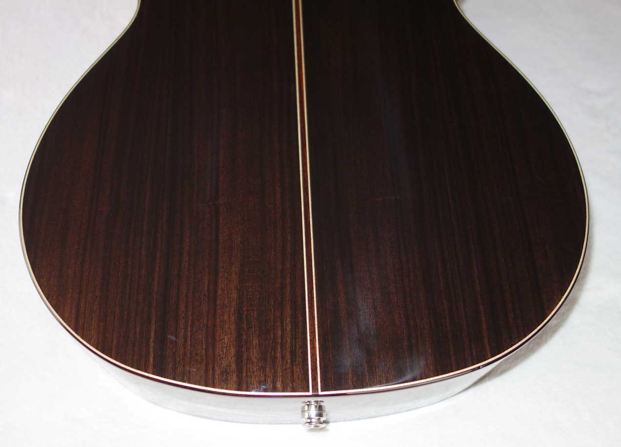 Bartolex 10-String Classical Harp Guitar Model SLS10CEL w/Hardshell Case Solid Spruce Top, Cutaway, Pickup