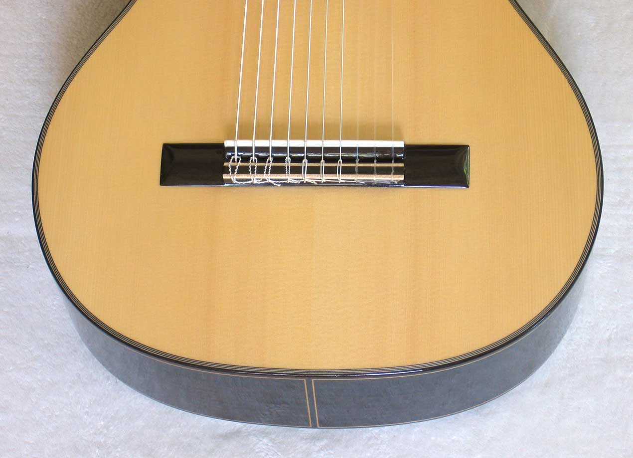 NEW MILAGRO MRS10 10-String Classical Harp Guitar [Spruce/Indian Rosewood]