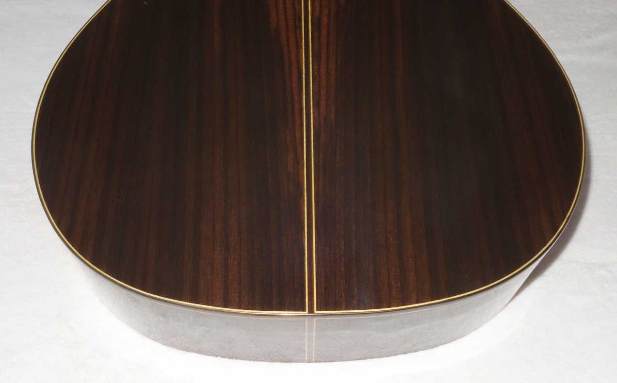 NEW Bartolex SLS10 10-String Classical Harp Guitar w/Hardshell Case