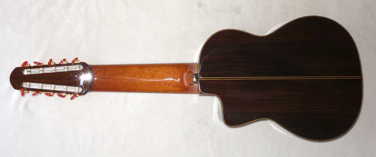 NEW Bartolex SLS10CEL 10-String Classical Harp Guitar, Fishman Presys Pickup, Cutaway, Hardshell Case