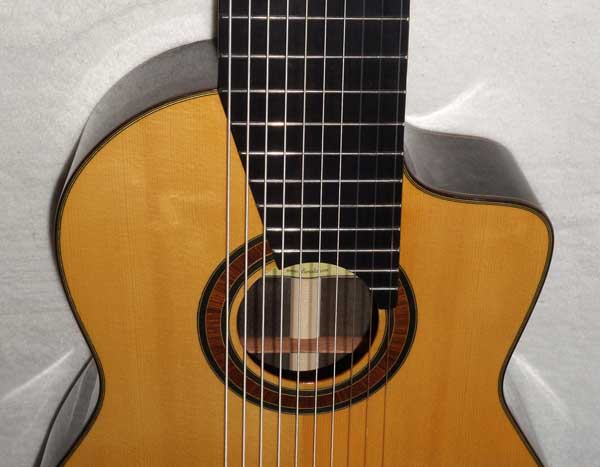 Bartolex SLS10CEL Classical 10-String Harp Guitar w/Cutaway, Fishman Pickup, Hardshell Case, Spruce Top