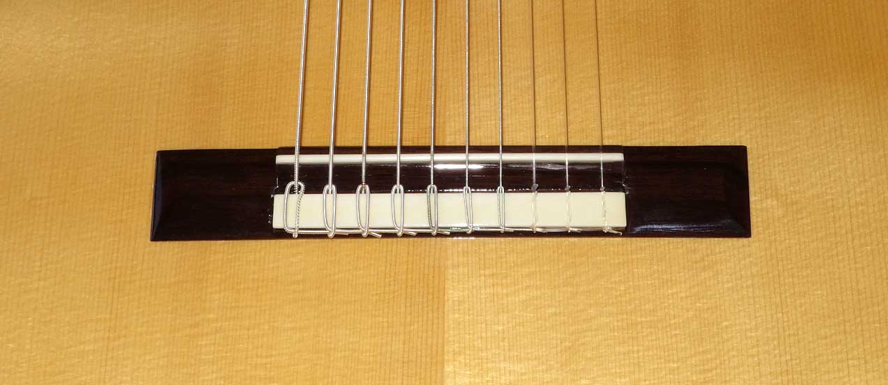 NEW Bartolex SLS10CEL 10-String Classical Harp Guitar, Fishman Presys Pickup, Cutaway, Hardshell Case