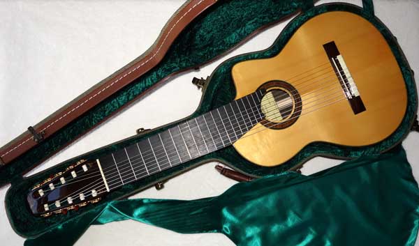 Bartolex SLS10CEL Classical 10-String Harp Guitar w/Cutaway, Fishman Pickup, Hardshell Case, Spruce Top
