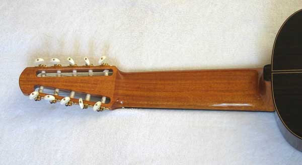 NEW Bartolex SPC10 10-String Classical Harp Guitar [Cedar/Indian Rosewood] w/Sound Port