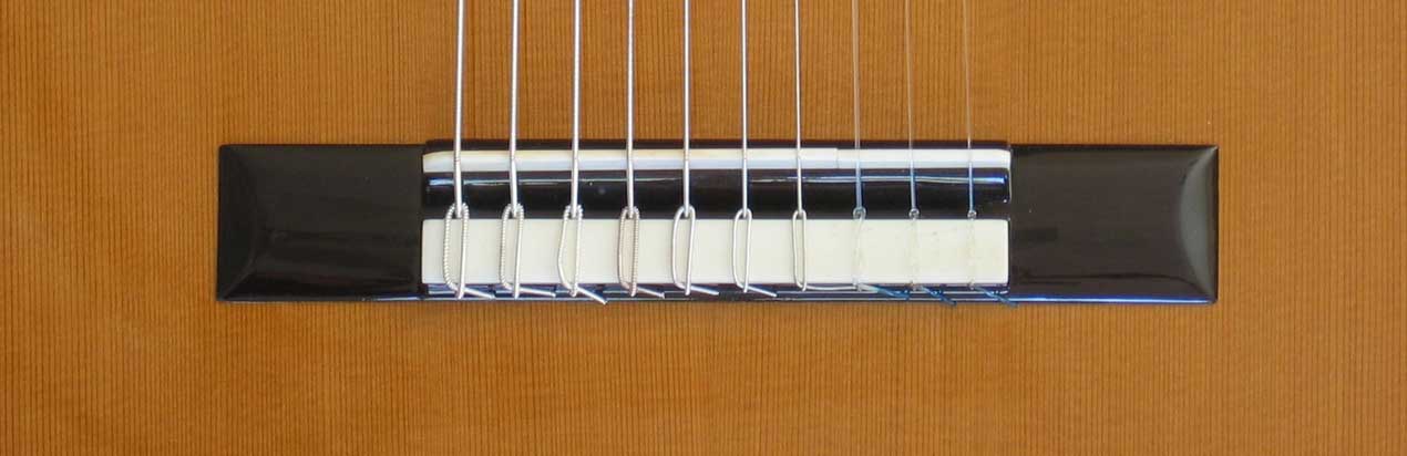 NEW Bartolex SPC10 10-String Classical Harp Guitar [Cedar/Indian Rosewood] w/Sound Port