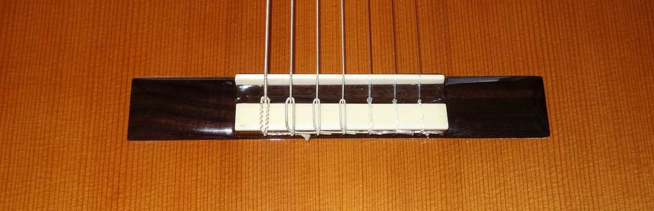 NEW Bartolex SRS7CEL 7-String Classical Harp Guitar, Fishman Presys Pickup, Cutaway, Hardshell Case