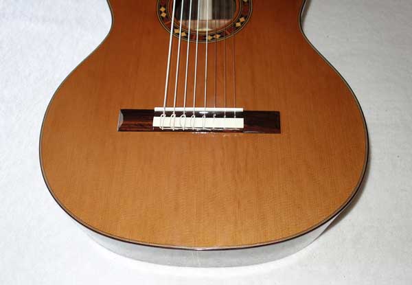 BARTOLEX SRC8 Classical 8-String Harp Guitar w/Silk-Lined Case, Cedar Top