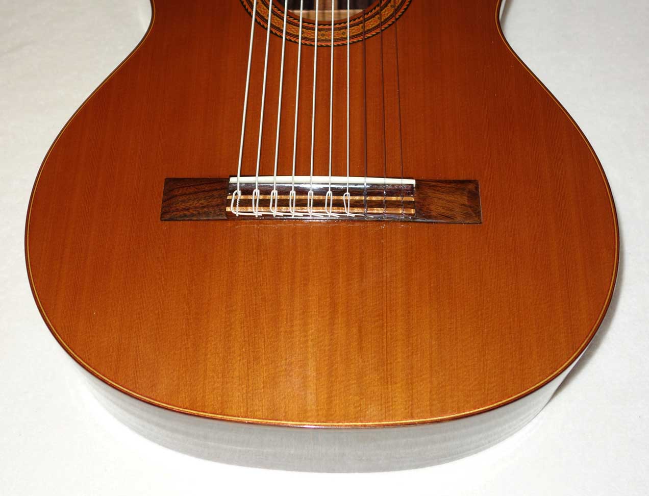2013 Milagro MRS10 Concert 10-String Classical Harp Guitar, All-Solid Woods Cedar/Rosewood w/Case!!!