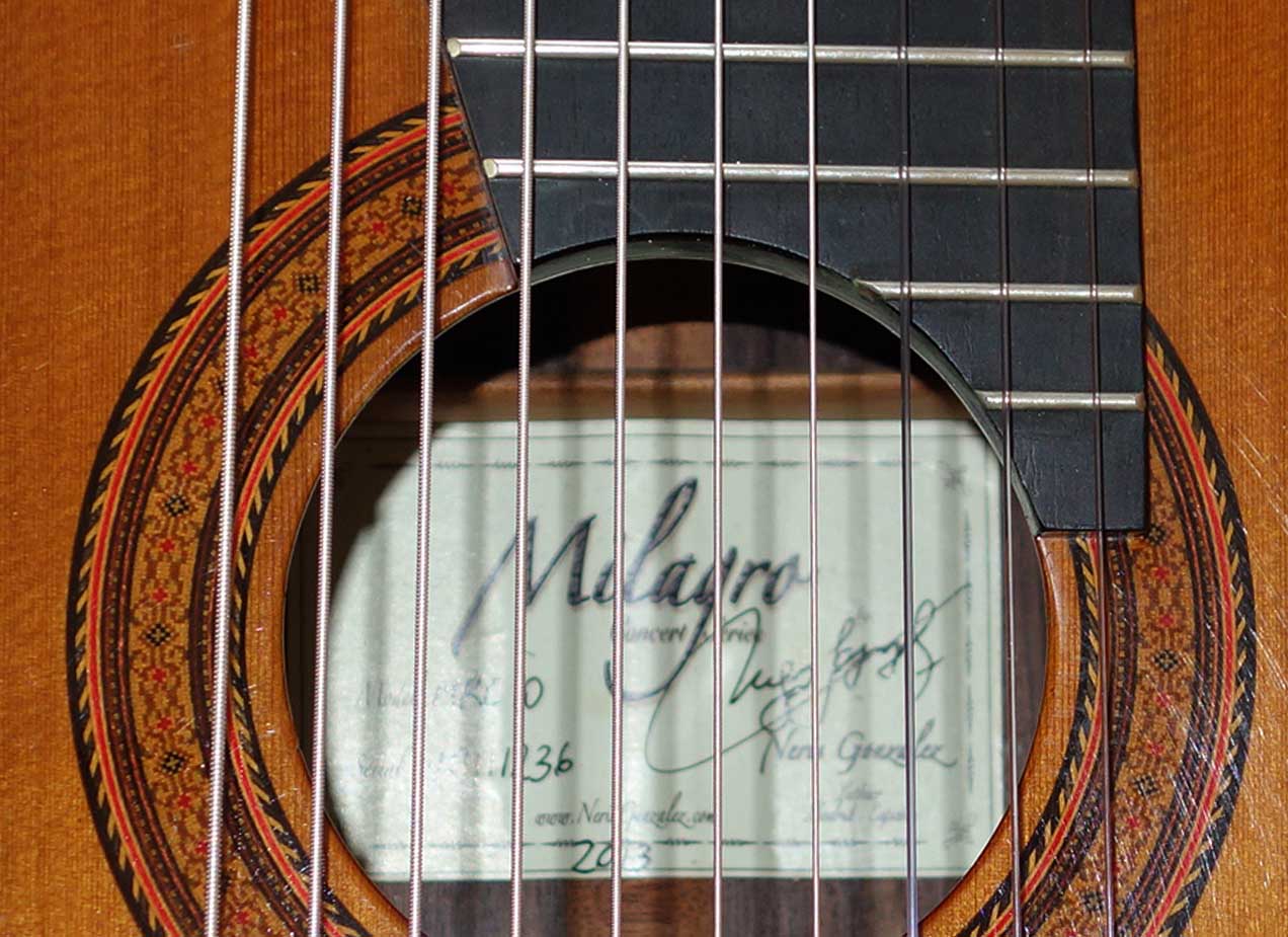 2013 Milagro MRS10 Concert 10-String Classical Harp Guitar, All-Solid Woods Cedar/Rosewood w/Case!!!