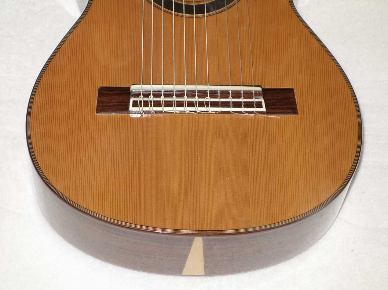 Bartolex Alto 11-String Classical Harp Guitar [Cedar / Indian Rosewood]