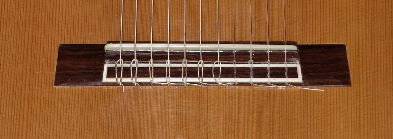 Bartolex Alto 11-String Classical Harp Guitar [Cedar / Indian Rosewood]