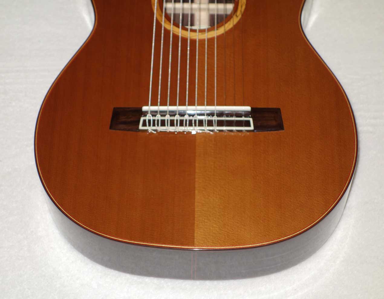 MILAGRO MRC11 Alto 11-String Classical Harp Guitarw/ Case, Cedar Top All / Solid Tonewoods