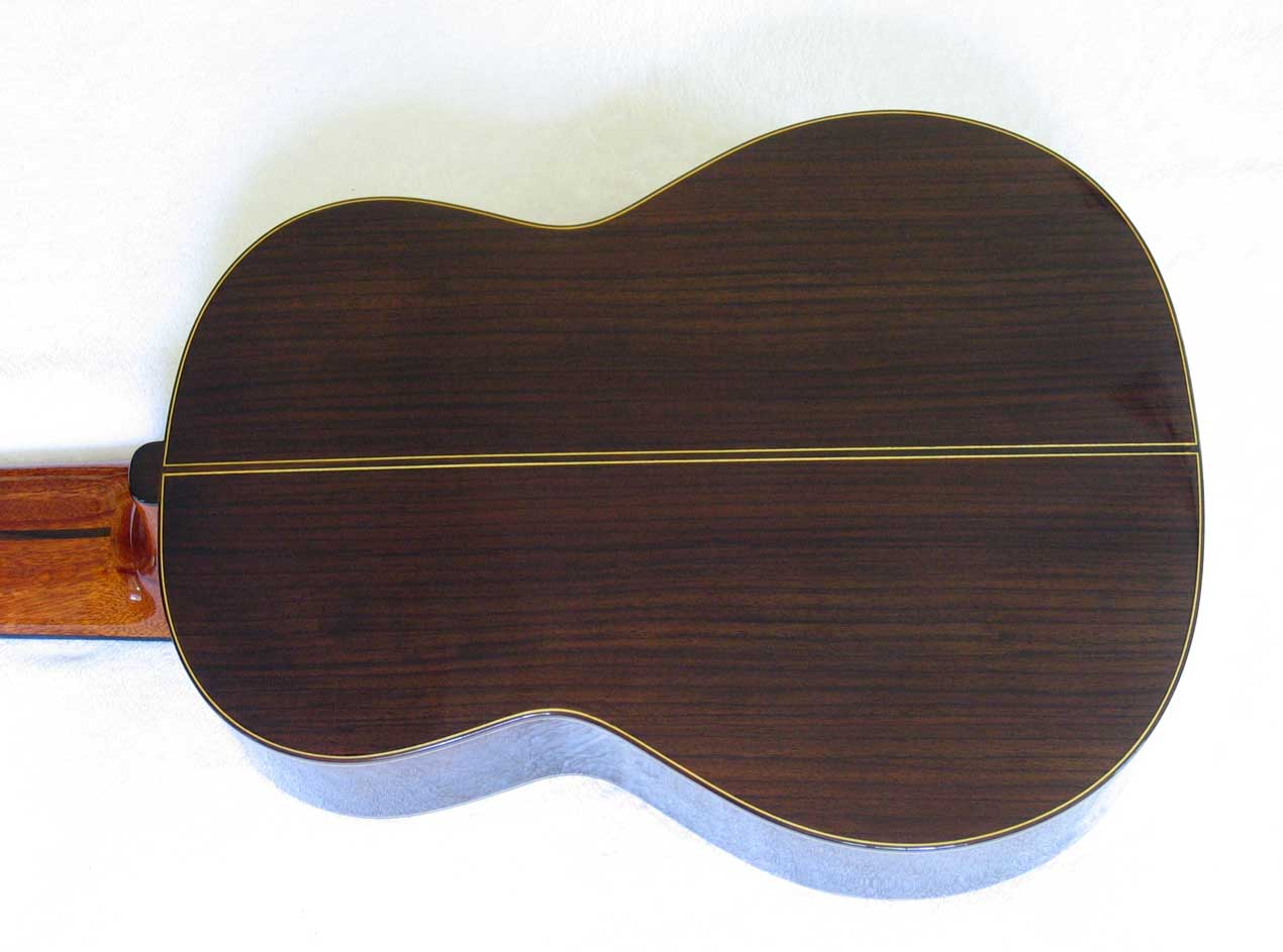 NEW MILAGRO MRC10 10-String Classical Harp Guitar [Cedar/Indian Rosewood]
