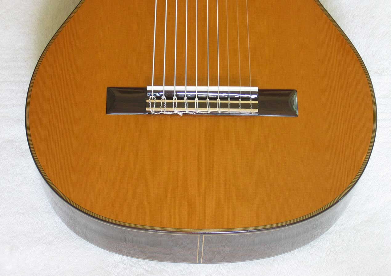 NEW MILAGRO MRC10 10-String Classical Harp Guitar [Cedar/Indian Rosewood]