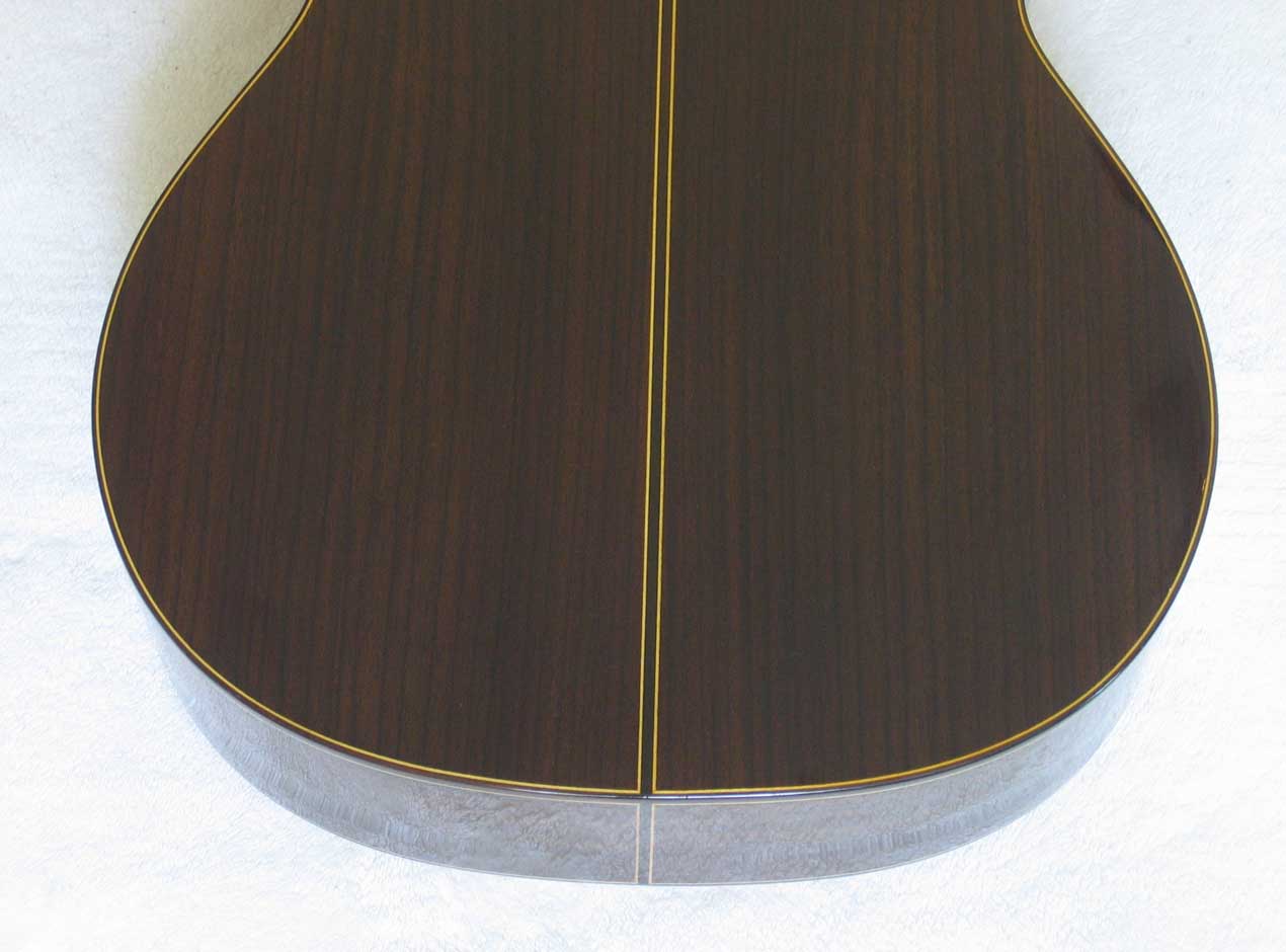 NEW MILAGRO MRC10 10-String Classical Harp Guitar [Cedar/Indian Rosewood]