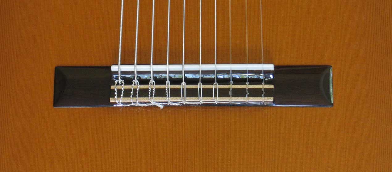 NEW MILAGRO MRC10 10-String Classical Harp Guitar [Cedar/Indian Rosewood]