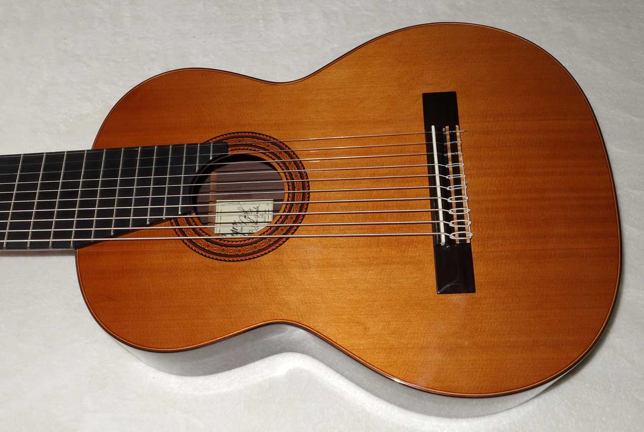 Milagro MRC10 Concert 10-String Classical Harp Guitar, Cedar Top w/Hardshell Case