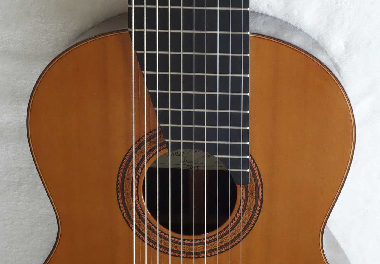 Milagro MRC10 Concert 10-String Classical Harp Guitar, Cedar Top w/Hardshell Case
