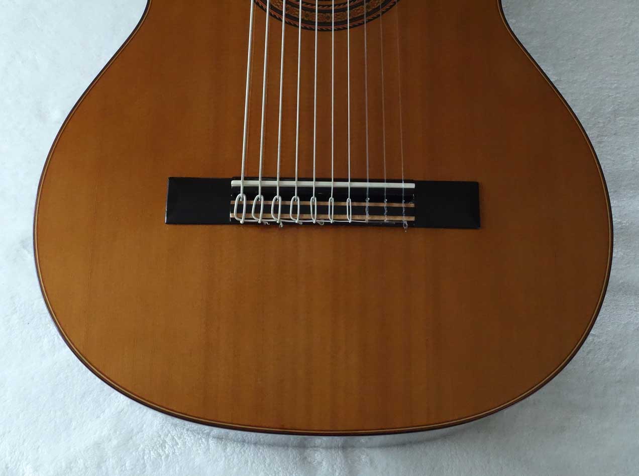 Milagro MRC10 Concert 10-String Classical Harp Guitar, Cedar Top w/Hardshell Case