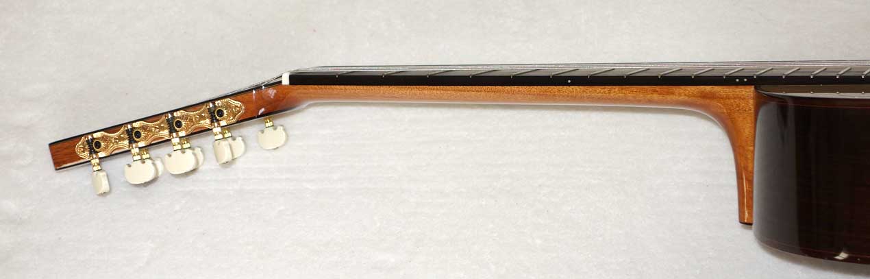 Milagro MRS8 8-String Classical Harp Guitar w/ Case, Bear Claw Spruce Top