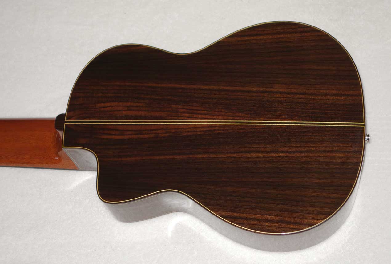 NEW Bartolex SLC10CEL 10-String Classical Harp Guitar w/Case, [Cutaway / Fishman Presys Pickup]
