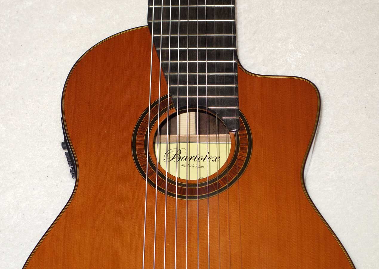 NEW Bartolex SLC10CEL 10-String Classical Harp Guitar w/Case, [Cutaway / Fishman Presys Pickup]