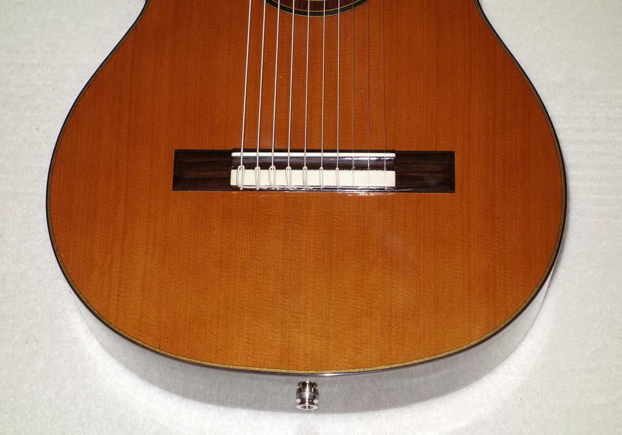 NEW Bartolex SLC10CEL 10-String Classical Harp Guitar w/Case, [Cutaway / Fishman Presys Pickup]