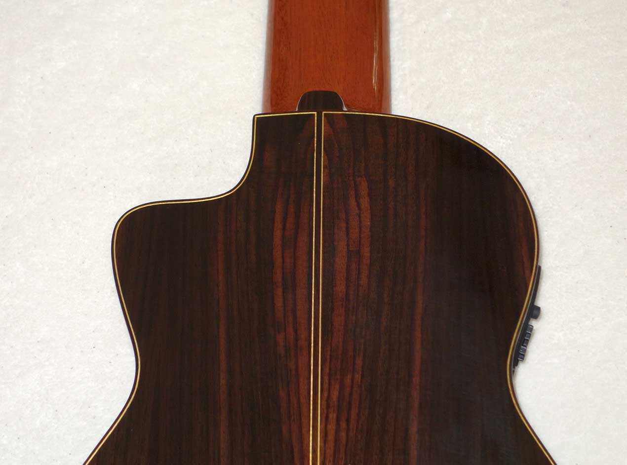 NEW Bartolex SLC10CEL 10-String Classical Harp Guitar w/Case, [Cutaway / Fishman Presys Pickup]
