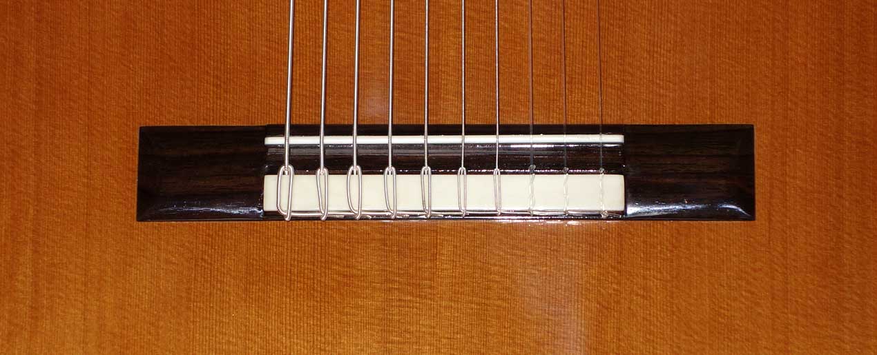 NEW Bartolex SLC10CEL 10-String Classical Harp Guitar w/Case, [Cutaway / Fishman Presys Pickup]