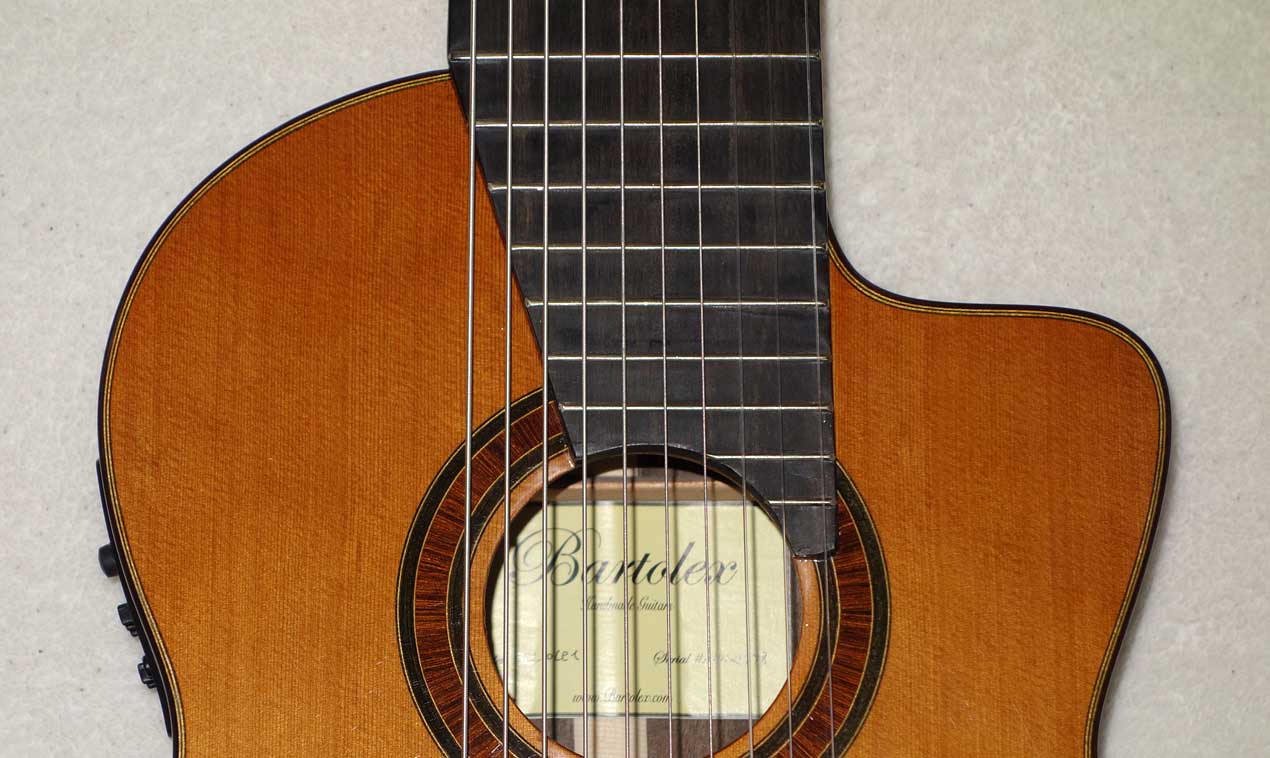 NEW Bartolex SLC10CEL 10-String Classical Harp Guitar w/Case, [Cutaway / Fishman Presys Pickup]