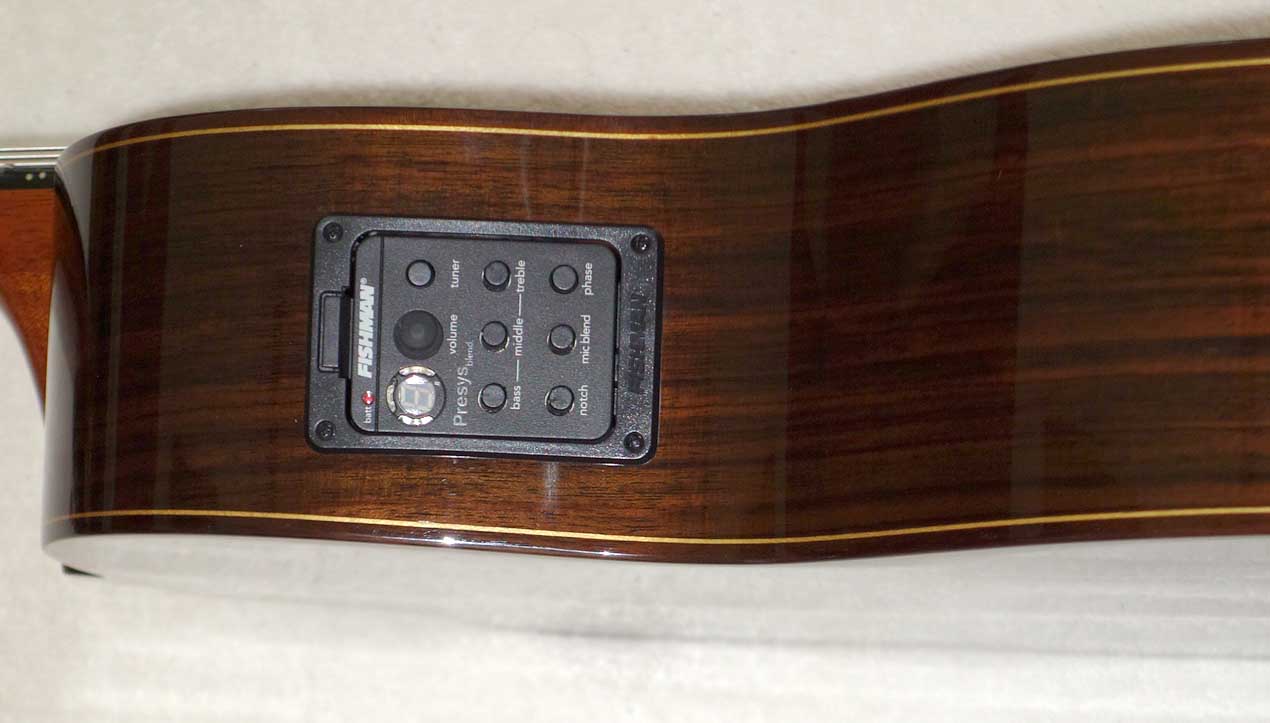 NEW Bartolex SLC10CEL 10-String Classical Harp Guitar w/Case, [Cutaway / Fishman Presys Pickup]