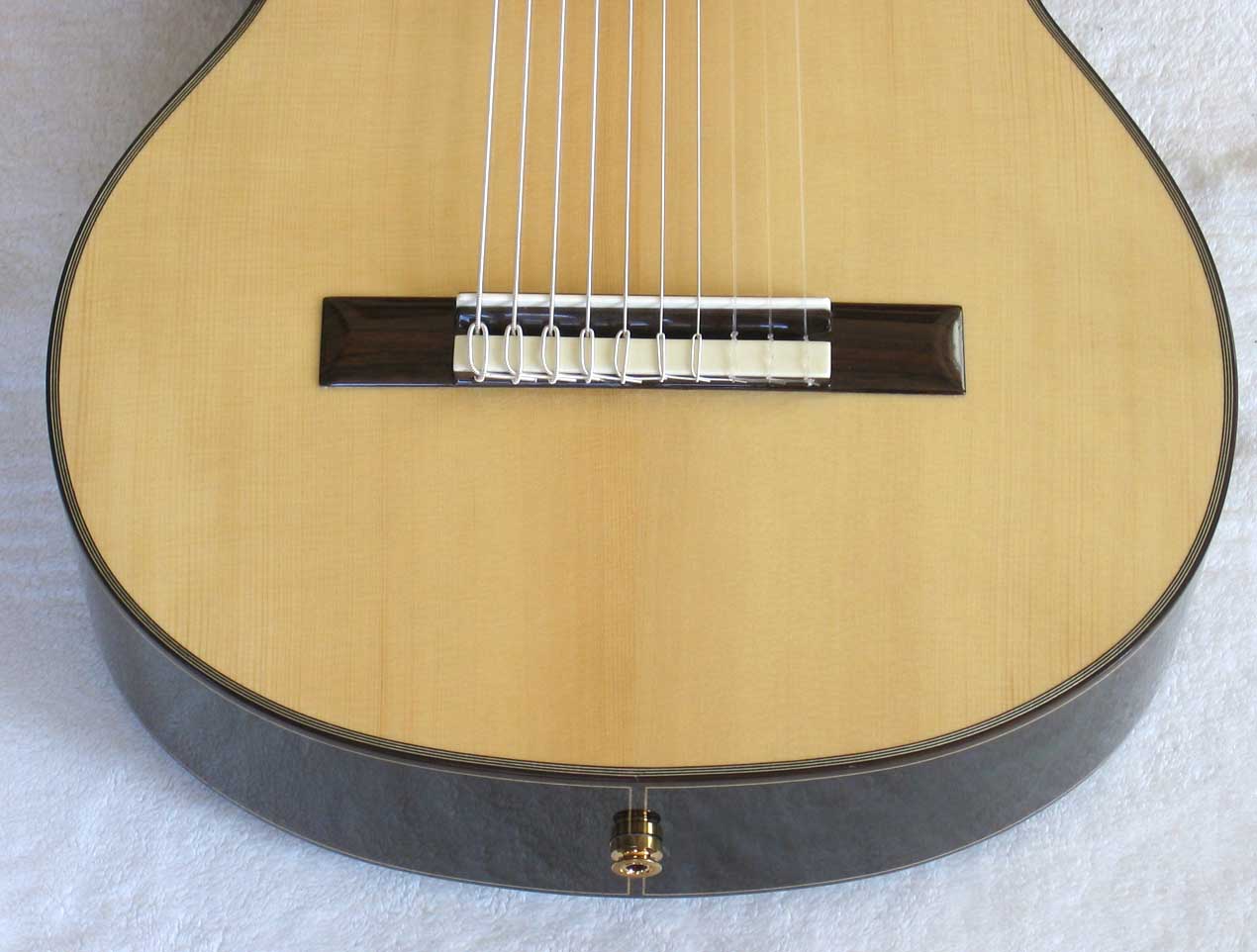BARTOLEX SPS10CEL Classical Harp Guitar, Spruce Top, Spund Port, Fishman Presys PU + Case