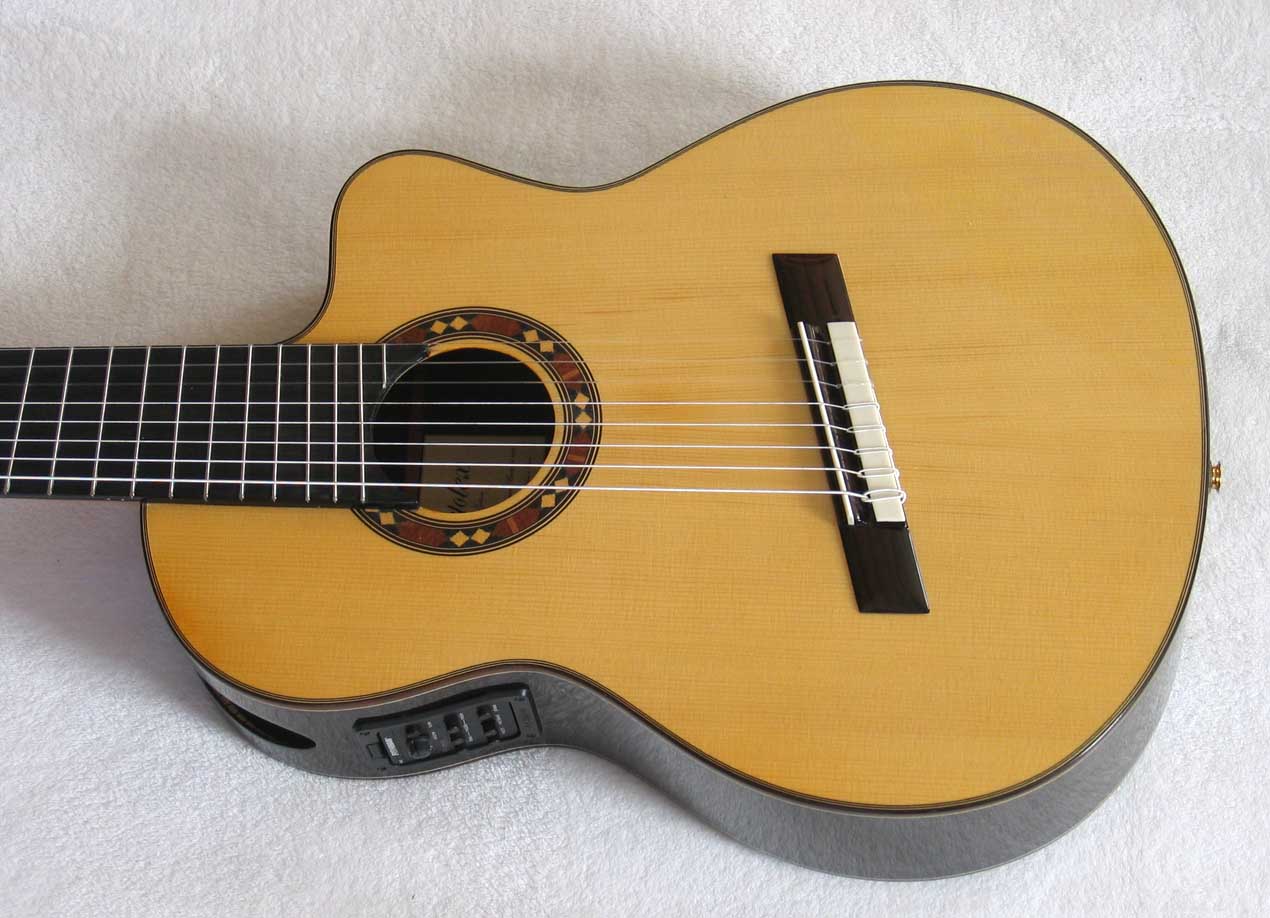 BARTOLEX SPSA8FCEL Classical Harp Guitar, Fanned, Frets Spruce Top, Spund Port, Fishman Presys PU + Case