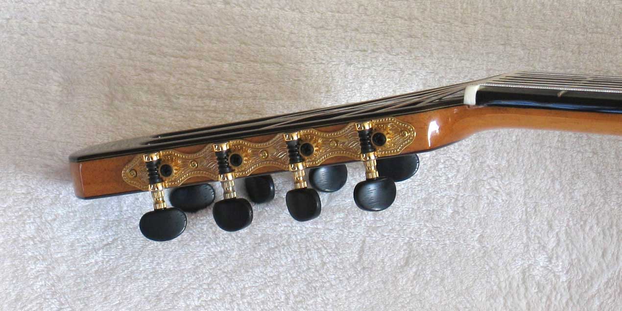 BARTOLEX SPSA8FCEL Classical Harp Guitar, Fanned, Frets Spruce Top, Spund Port, Fishman Presys PU + Case
