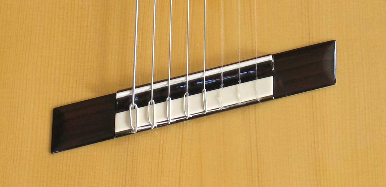 BARTOLEX SPSA8FCEL Classical Harp Guitar, Fanned, Frets Spruce Top, Spund Port, Fishman Presys PU + Case