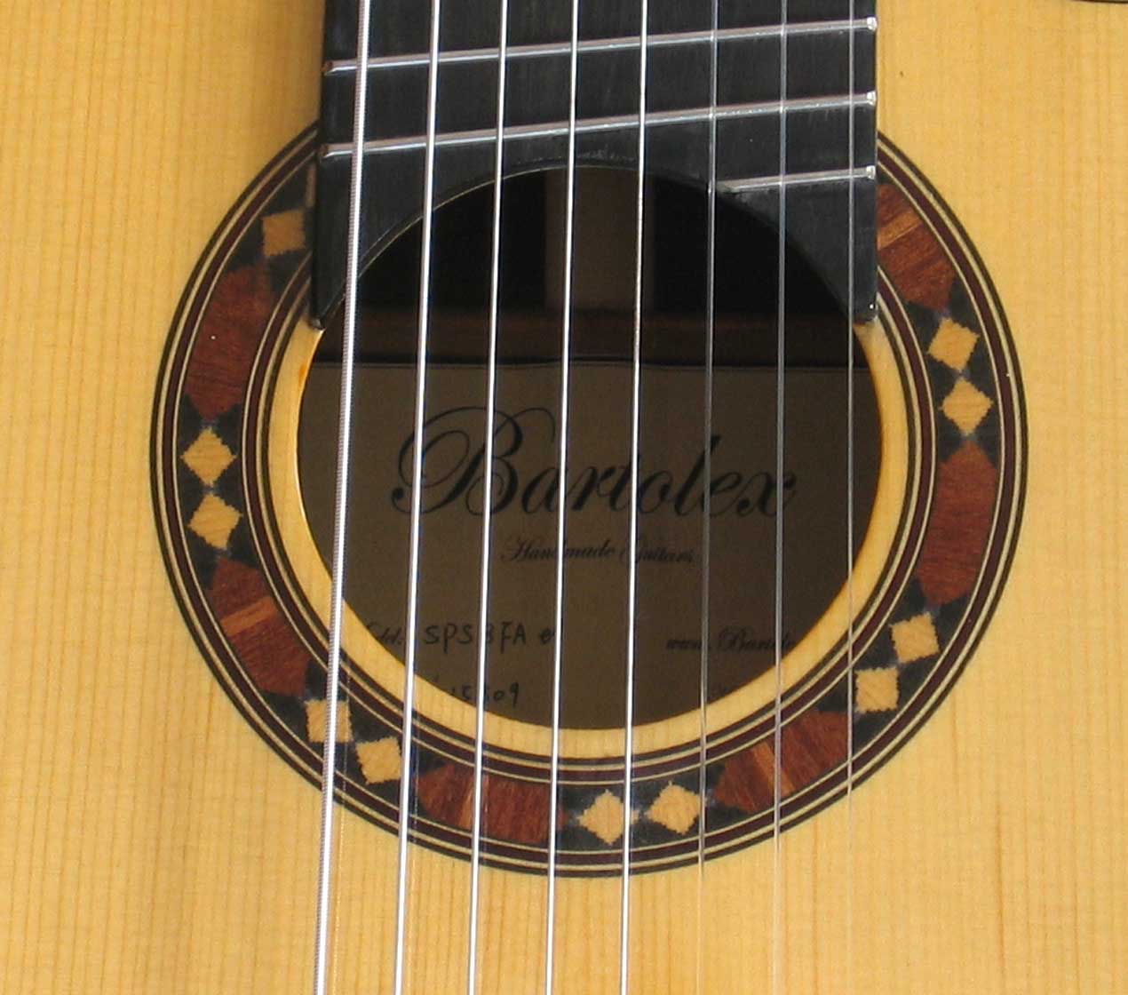 BARTOLEX SPSA8FCEL Classical Harp Guitar, Fanned, Frets Spruce Top, Spund Port, Fishman Presys PU + Case