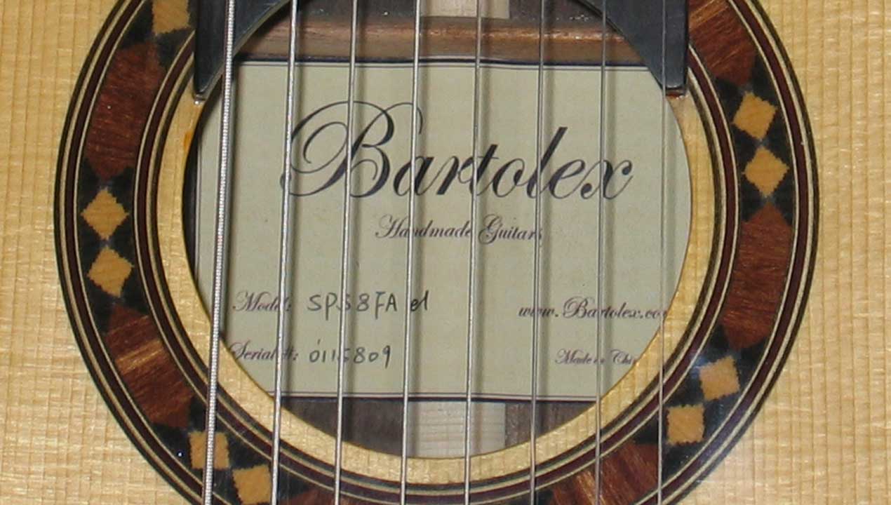 BARTOLEX SPSA8FCEL Classical Harp Guitar, Fanned, Frets Spruce Top, Spund Port, Fishman Presys PU + Case