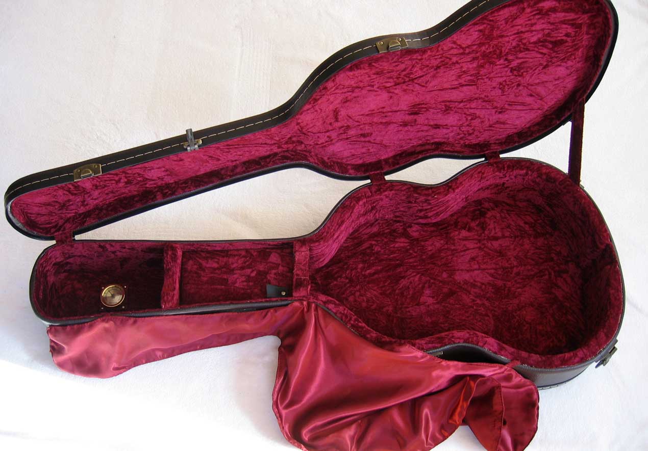 BARTOLEX SPSA8FCEL Classical Harp Guitar, Fanned, Frets Spruce Top, Spund Port, Fishman Presys PU + Case
