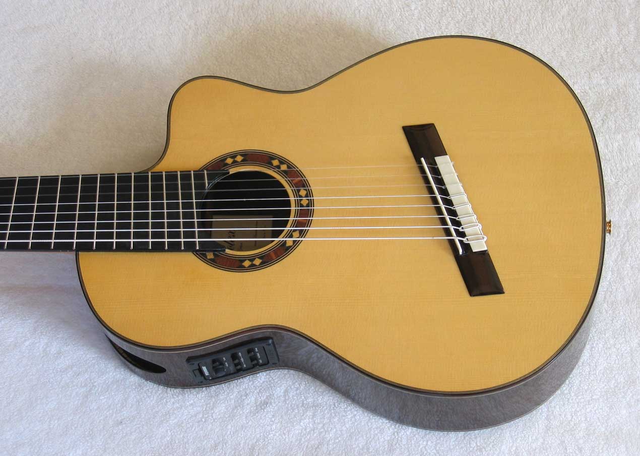ing Classical Harp Guitar, Spruce Top, Spund Port, Fishman Presys PU + Case