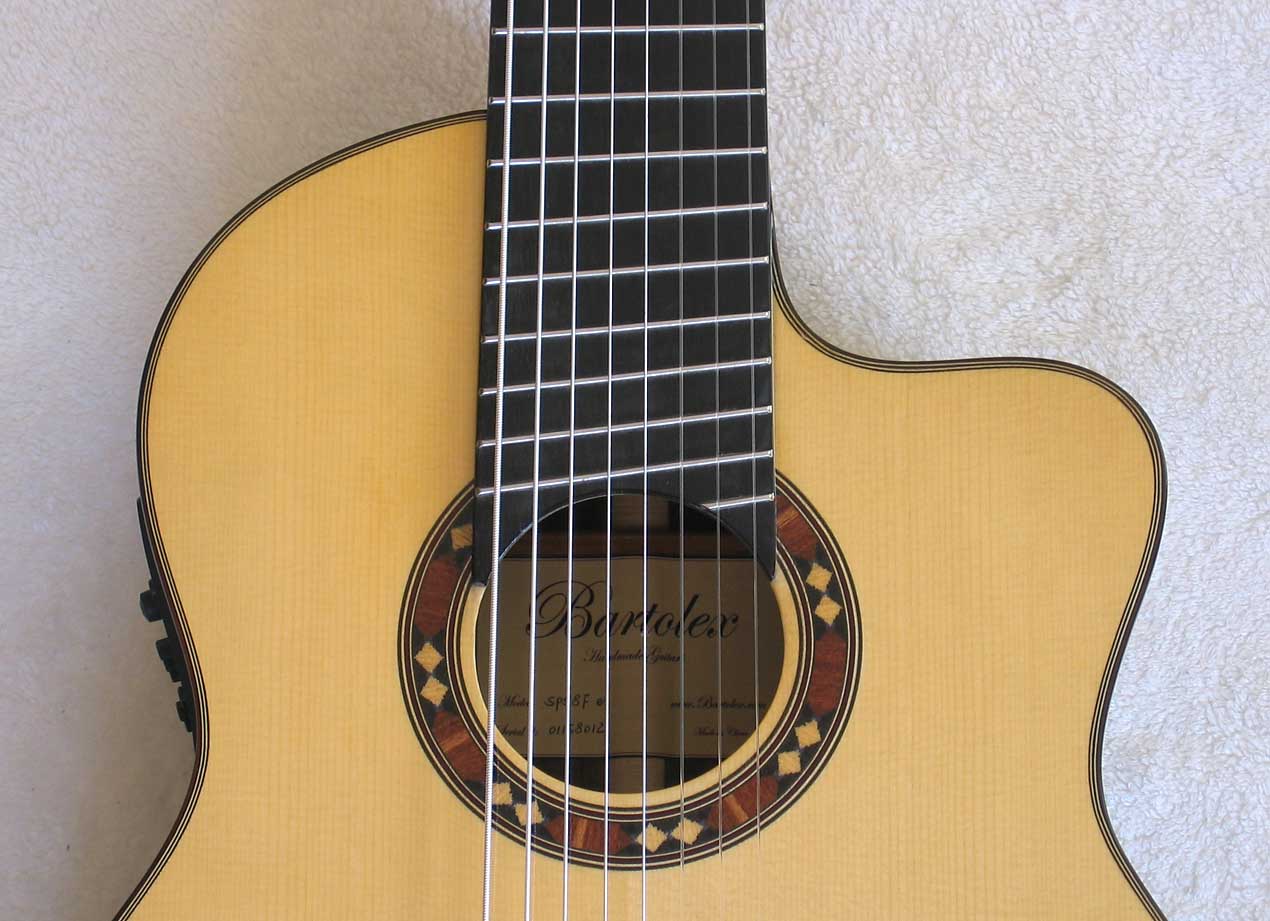 ing Classical Harp Guitar, Spruce Top, Spund Port, Fishman Presys PU + Case