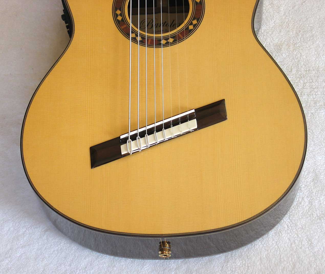 ing Classical Harp Guitar, Spruce Top, Spund Port, Fishman Presys PU + Case