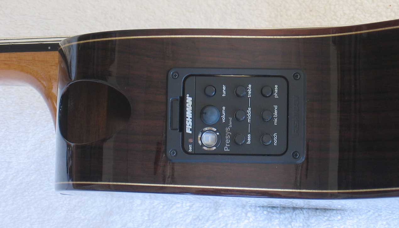 ing Classical Harp Guitar, Spruce Top, Spund Port, Fishman Presys PU + Case