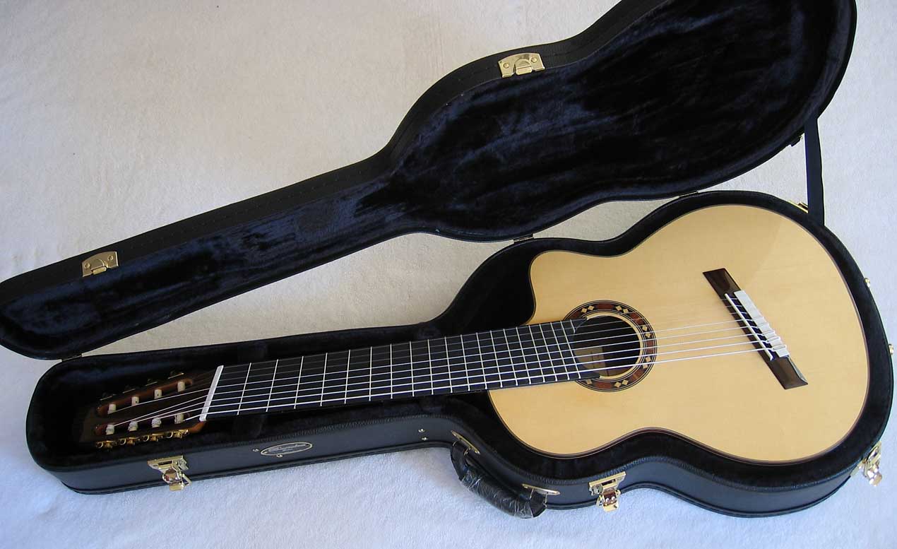 ing Classical Harp Guitar, Spruce Top, Spund Port, Fishman Presys PU + Case