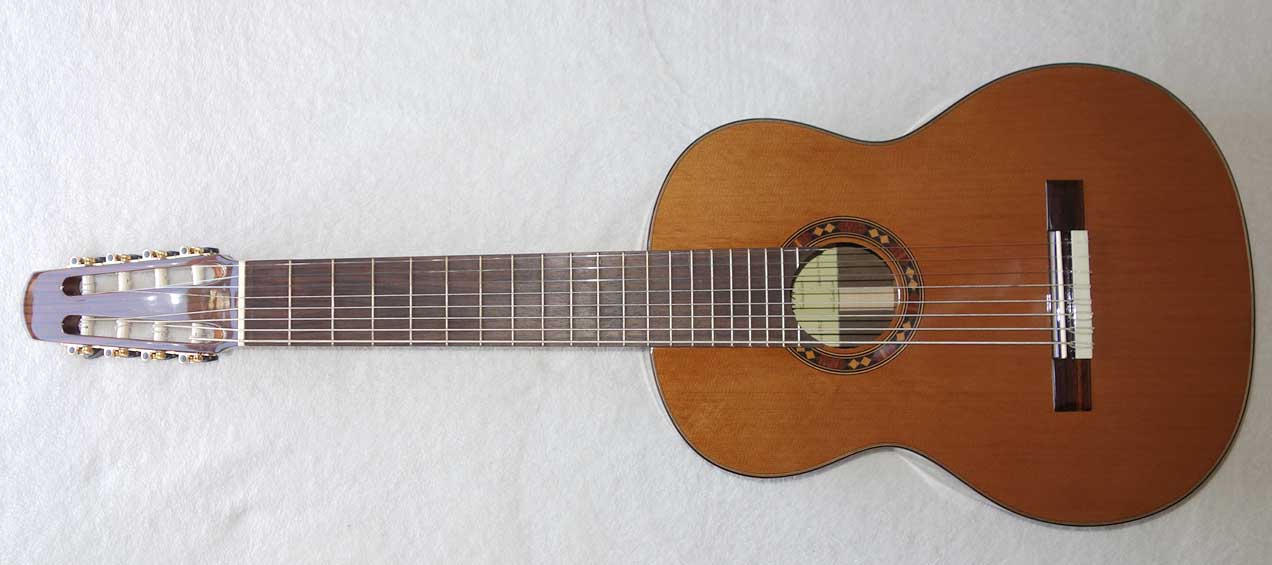 BARTOLEX SRC8 Classical 8-String Harp Guitar w/Silk-Lined Case, Cedar Top
