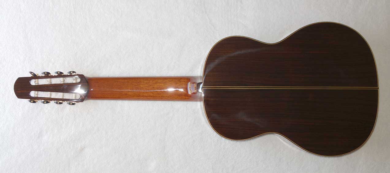 BARTOLEX SRC8 Classical 8-String Harp Guitar w/Silk-Lined Case, Cedar Top