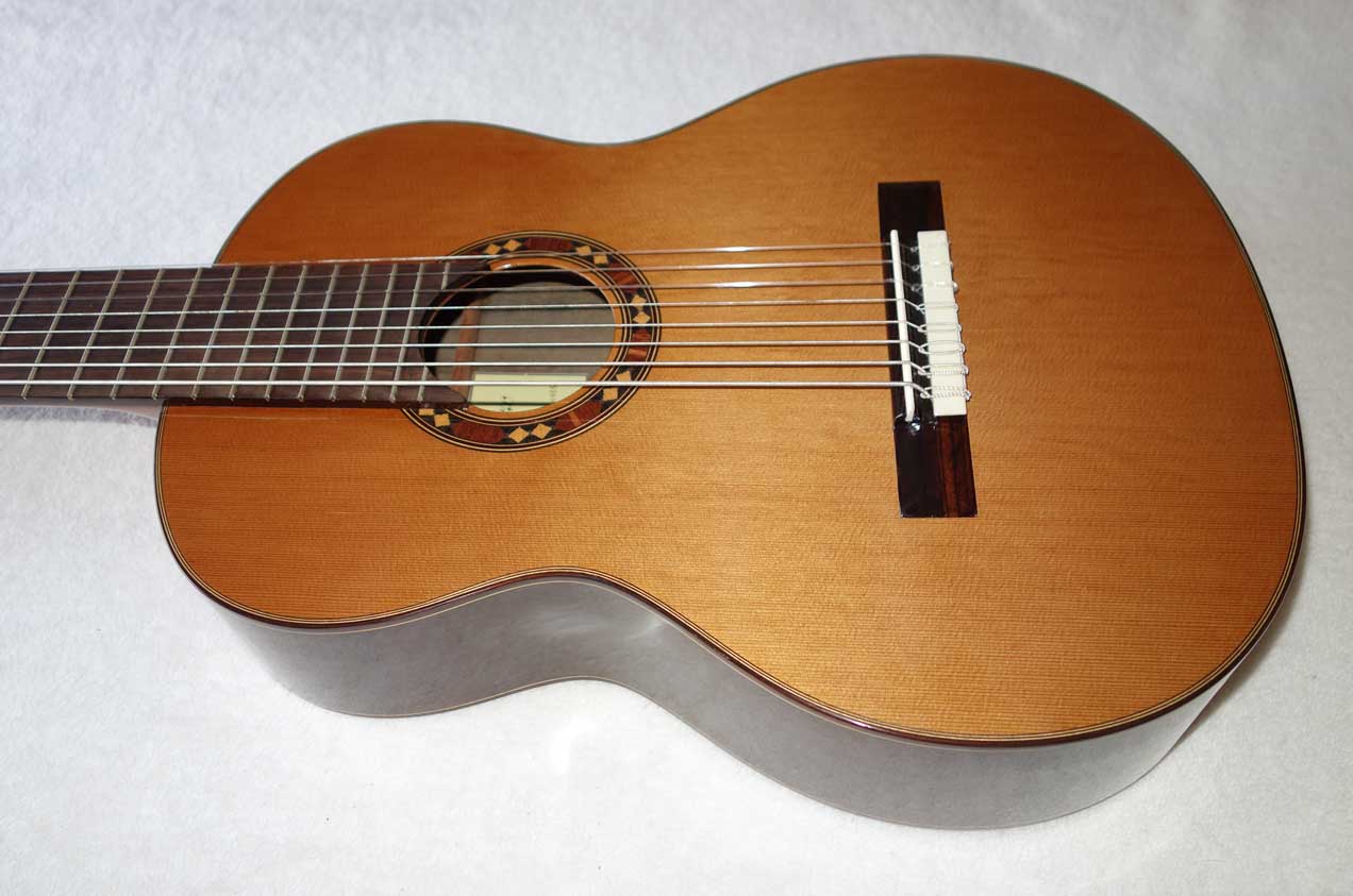 BARTOLEX SRC8 Classical 8-String Harp Guitar w/Silk-Lined Case, Cedar Top