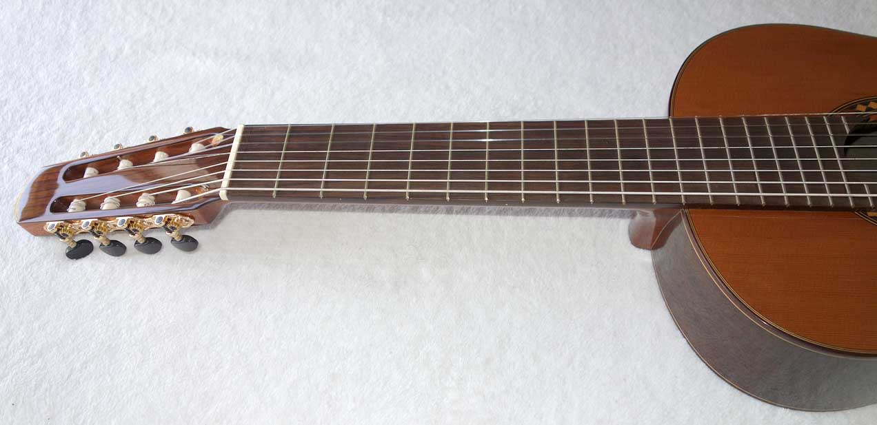 BARTOLEX SRC8 Classical 8-String Harp Guitar w/Silk-Lined Case, Cedar Top