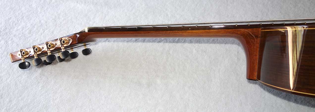 BARTOLEX SRC8 Classical 8-String Harp Guitar w/Silk-Lined Case, Cedar Top