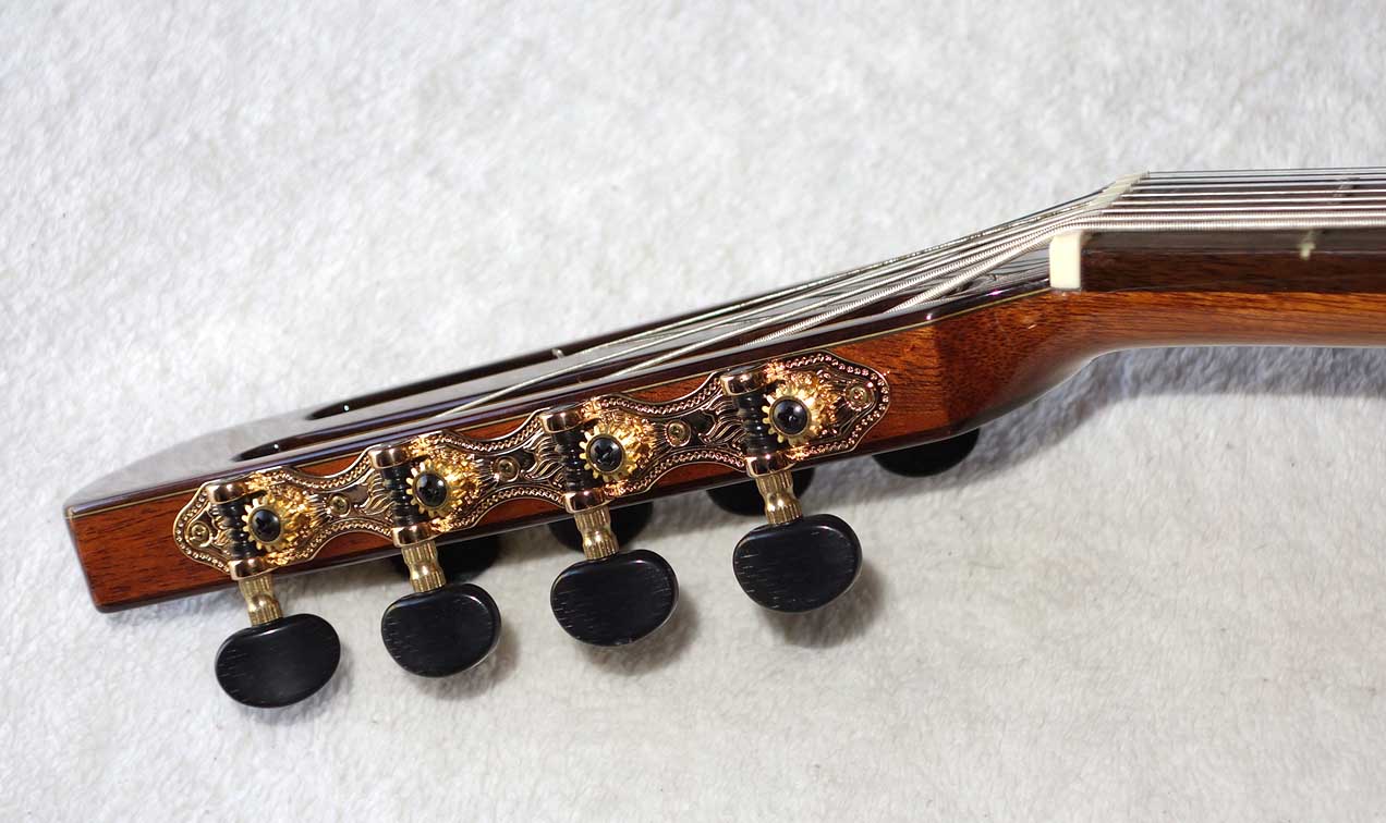 BARTOLEX SRC8 Classical 8-String Harp Guitar w/Silk-Lined Case, Cedar Top