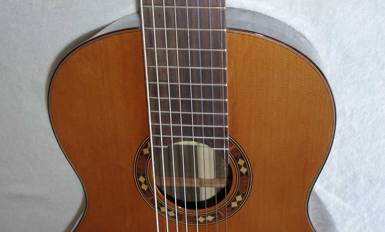 BARTOLEX SRC8 Classical 8-String Harp Guitar w/Silk-Lined Case, Cedar Top